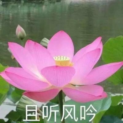 消除者联盟腾讯版下载